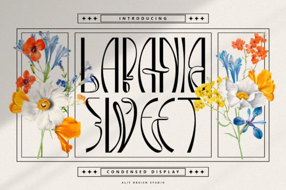 Lapania Sweet: Dynamic Elegance for Modern Design